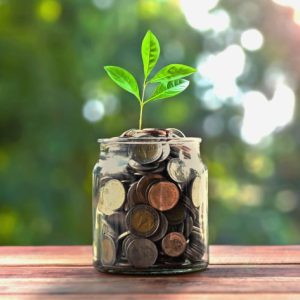 seed-funding-2 seed-funding-2